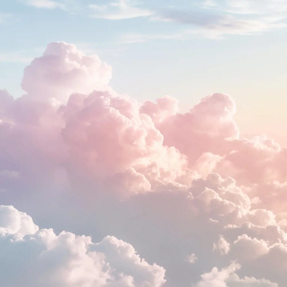 Feminelle Gentle Intimate Wash with Cotton Extract 300 ml | Mild Daily Cleanser | pH-Balanced & Soothing