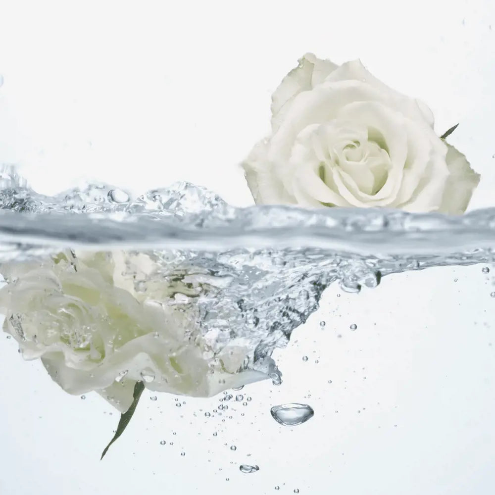 Feminelle Refreshing Intimate Wash with Rose Water 300 ml | Gentle Daily Cleanser | pH-Balanced & Soothing